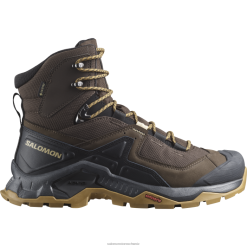 Salomon Schuhe | Salomon Herren-Wanderstiefel aus Leder – Quest Element Gore-Tex LF48249 Delikat/Schwarz/Mattgold