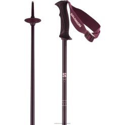 Salomon Switzerland | Salomon Damen-Alpinstöcke – Angel S3 LF4821291 Feige