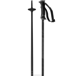 Salomon Switzerland | Salomon Damen-Alpinstöcke – Arctic Lady LF4821293 schwarz/grau