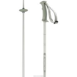 Salomon Switzerland | Salomon Damen-Alpinstöcke – Northpole Lady LF4821298 grau