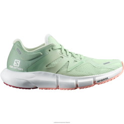 Salomon Switzerland | Salomon Damen-Laufschuhe – Vorhersage 2 LF482755 Spray/Granitgrün/blühende Dahlie