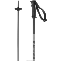 Salomon Switzerland | Salomon Herren-Alpinstöcke – Arktis LF4821255 Schwarz