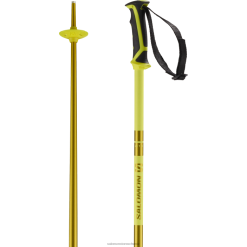 Salomon Switzerland | Salomon Herren-Alpinstöcke – Arktis LF4821256 Gelb