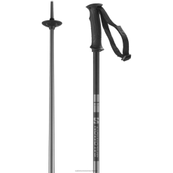 Salomon Switzerland | Salomon Herren-Alpinstöcke – Arktis LF4821257 Blau