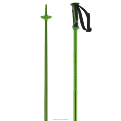 Salomon Switzerland | Salomon Herren-Alpinstöcke – Arktis LF4821258 Grün