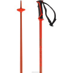 Salomon Switzerland | Salomon Herren-Alpinstöcke – Arktis LF4821259 orange