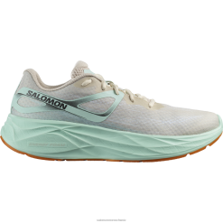 Salomon Switzerland | Salomon Herren-Laufschuhe – Aero Glide LF4821066 gebleichter Sand/Yucca/Orangenpfeffer