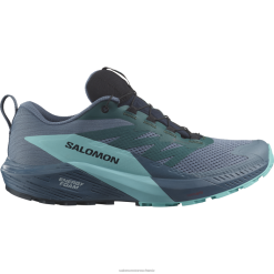 Salomon Switzerland | Salomon Herren-Trailrunning-Schuhe – Sense Ride 5 Gore-Tex LF4821445 Carbon/Blue Radiance/China Blue