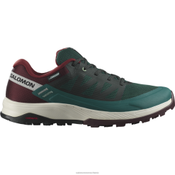 Salomon Switzerland | Salomon Herren-Wanderschuhe – Outrise Clima Waterproof LF48255 Ponderosa Pine/Bitterschokolade/Vanilleeis