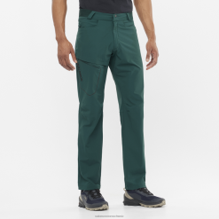 Salomon Switzerland | Salomon Herrenhose - Wayfarer LF4821202 Ponderosa-Kiefer