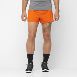 Salomon Switzerland | Salomon Herrenshorts - Cross 3 LF482268 Scharlachroter Ibis