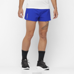 Salomon Switzerland | Salomon Herrenshorts - Cross 3 LF482269 im Internet surfen