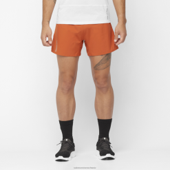 Salomon Switzerland | Salomon Herrenshorts - Cross 5 LF482271 gebrannter Ocker