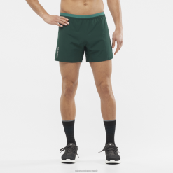 Salomon Switzerland | Salomon Herrenshorts - Cross 5 LF482274 Ponderosa-Kiefer