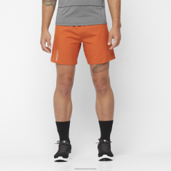 Salomon Switzerland | Salomon Herrenshorts - Cross 7 LF482265 gebrannter Ocker