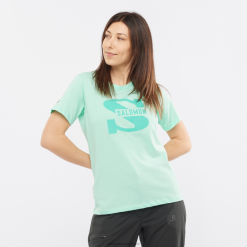 Salomon Switzerland | Salomon Kurzarm-T-Shirt für Damen – Outlife Big Logo LF482902 Strandglas