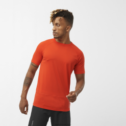 Salomon Switzerland | Salomon Kurzarm-T-Shirt für Herren – Cross Run LF482233 feuriges Rot