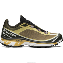 Salomon Switzerland | Salomon Sportstyle-Schuhe für Herren – xt-6 ft LF48293 Seetang/Lauchgrün/Herbstblatt